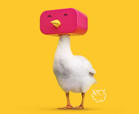 prtflo-img3-2.jpg